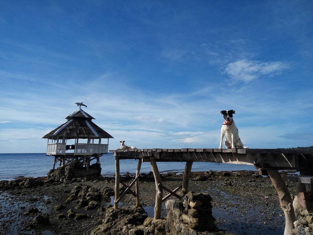 Paseo Del Mar Seaside Inn Jagna Esterno foto